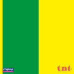 2063 - Listras Verde e Amarelo - Imagem 2