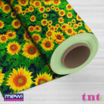 6066 - Flores do Sol