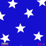 2087 - Estrela Branca fundo Azul - Imagem 2