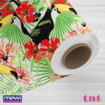 6067 - Tropicano