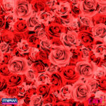 6069 - Painel Floral Vermelho - Imagem 2