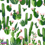 8017 - Cactus - Imagem 2
