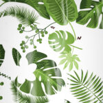 PLASTIC – MW09 - Imagem 2